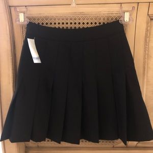Aritzia Talula Hedrin Skirt/Tennis Skirt